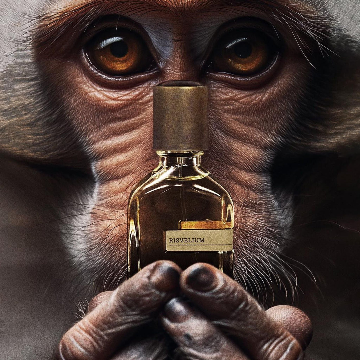Perfume Orto Parisi Risvelium