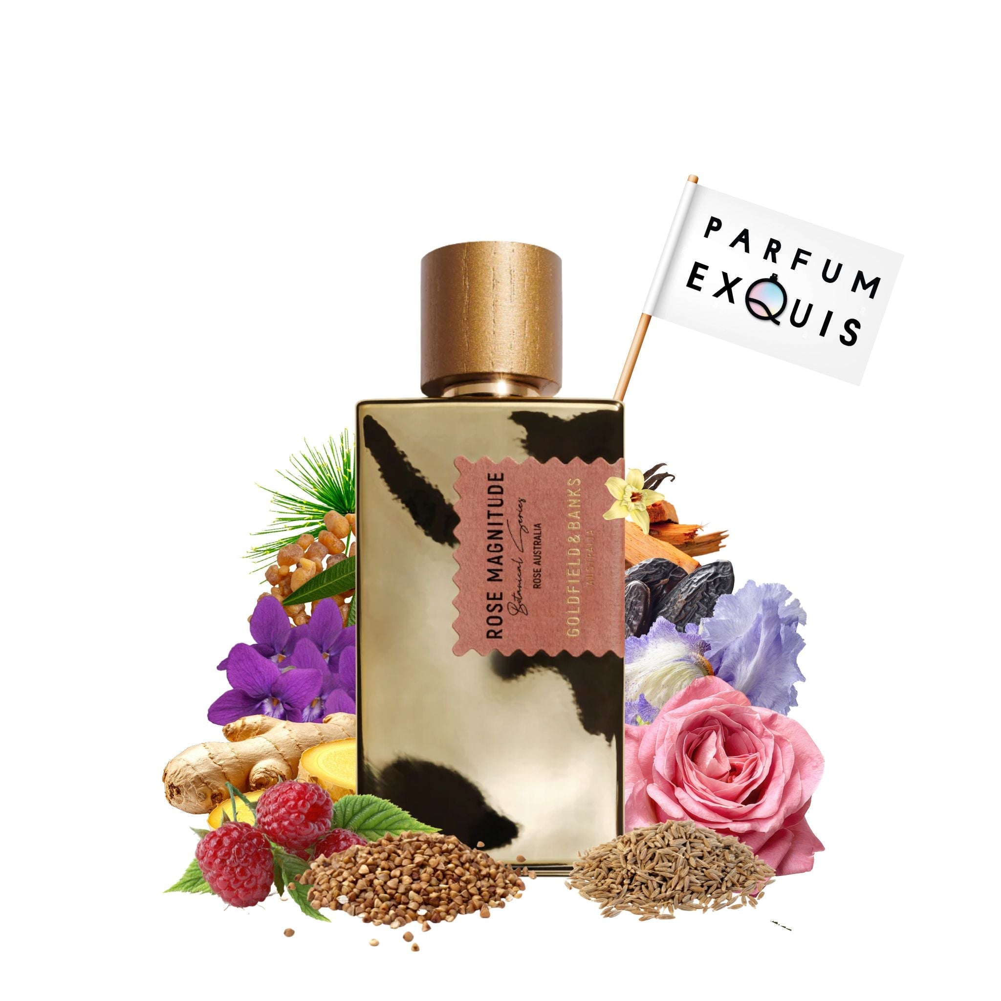 Rose Magnitude · Parfum Exquis US