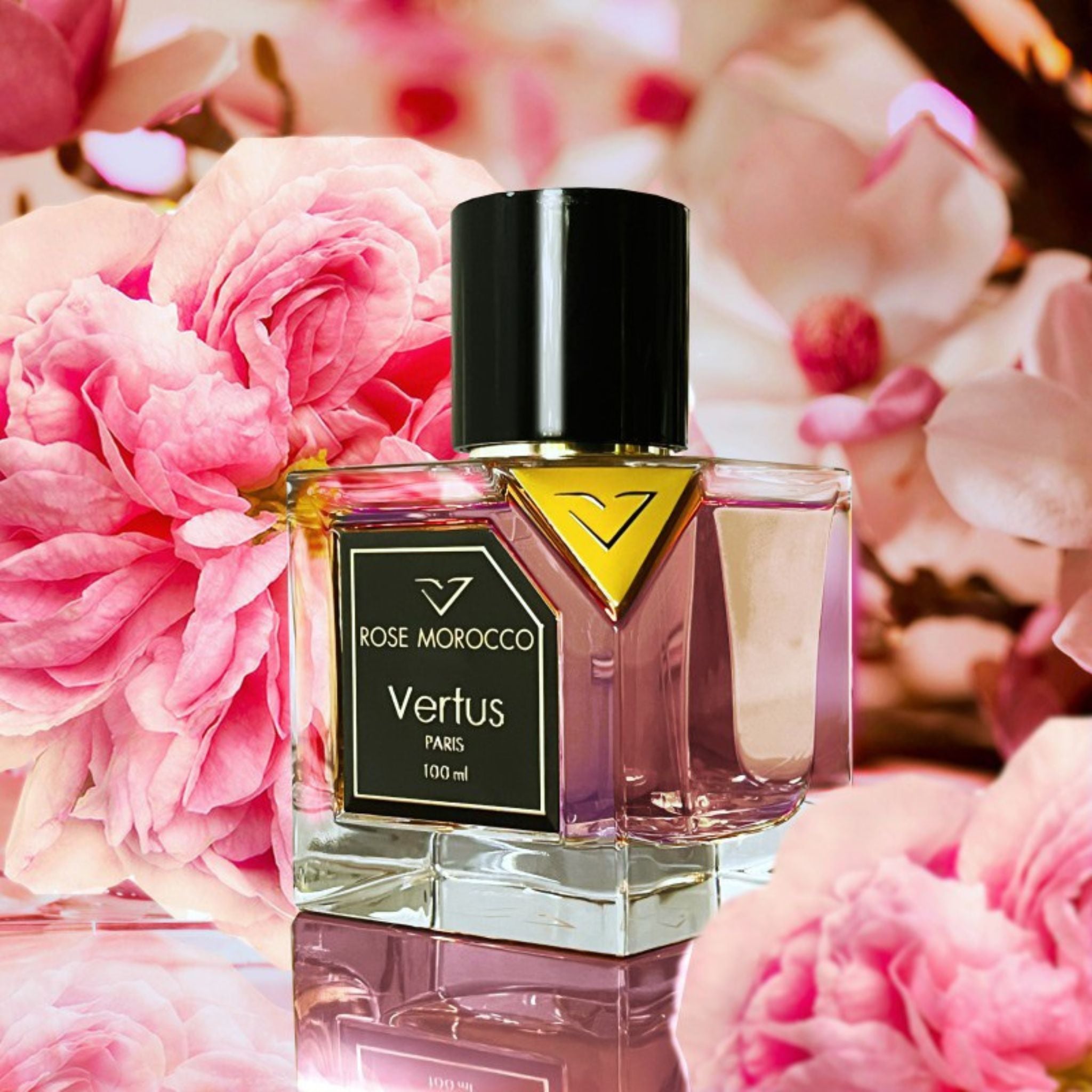 Rose Morocco Vertus