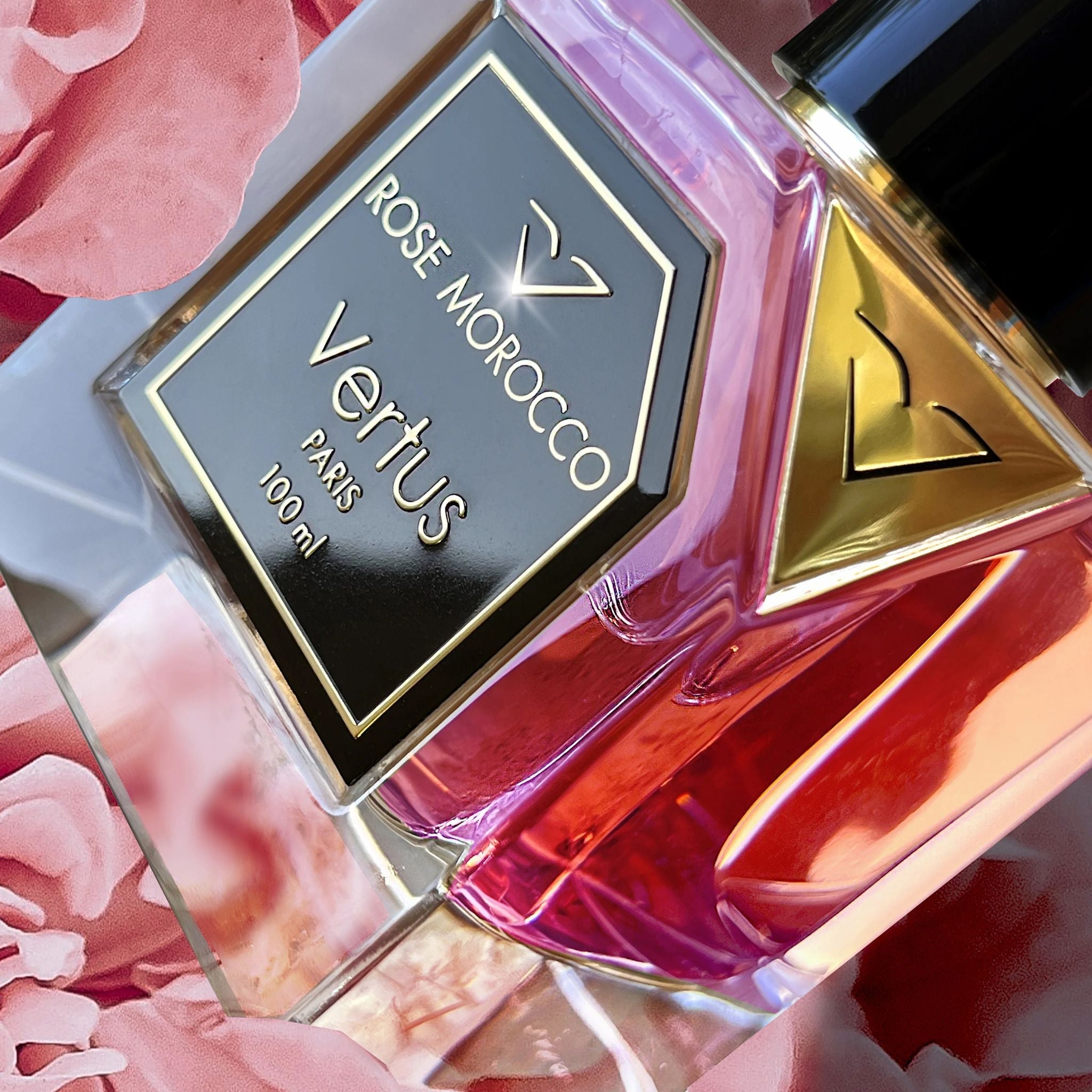 Vertus Rose Morocco