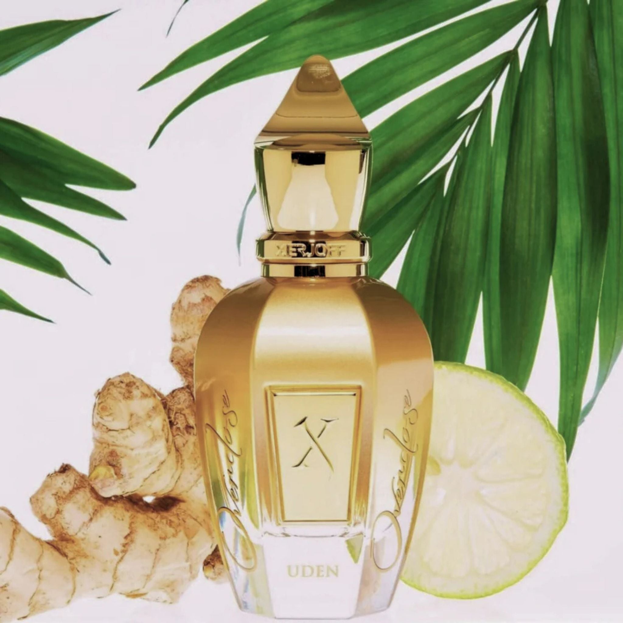 Shooting Stars Uden Overdose · Parfum Exquis US