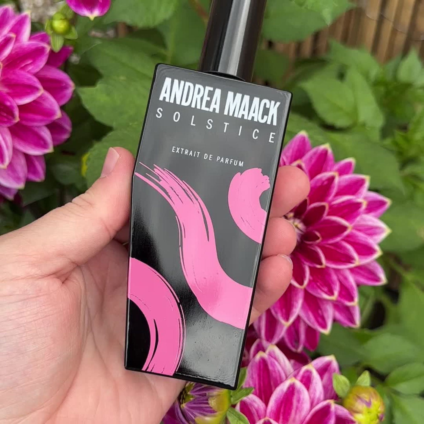 Solstice Andrea Maack