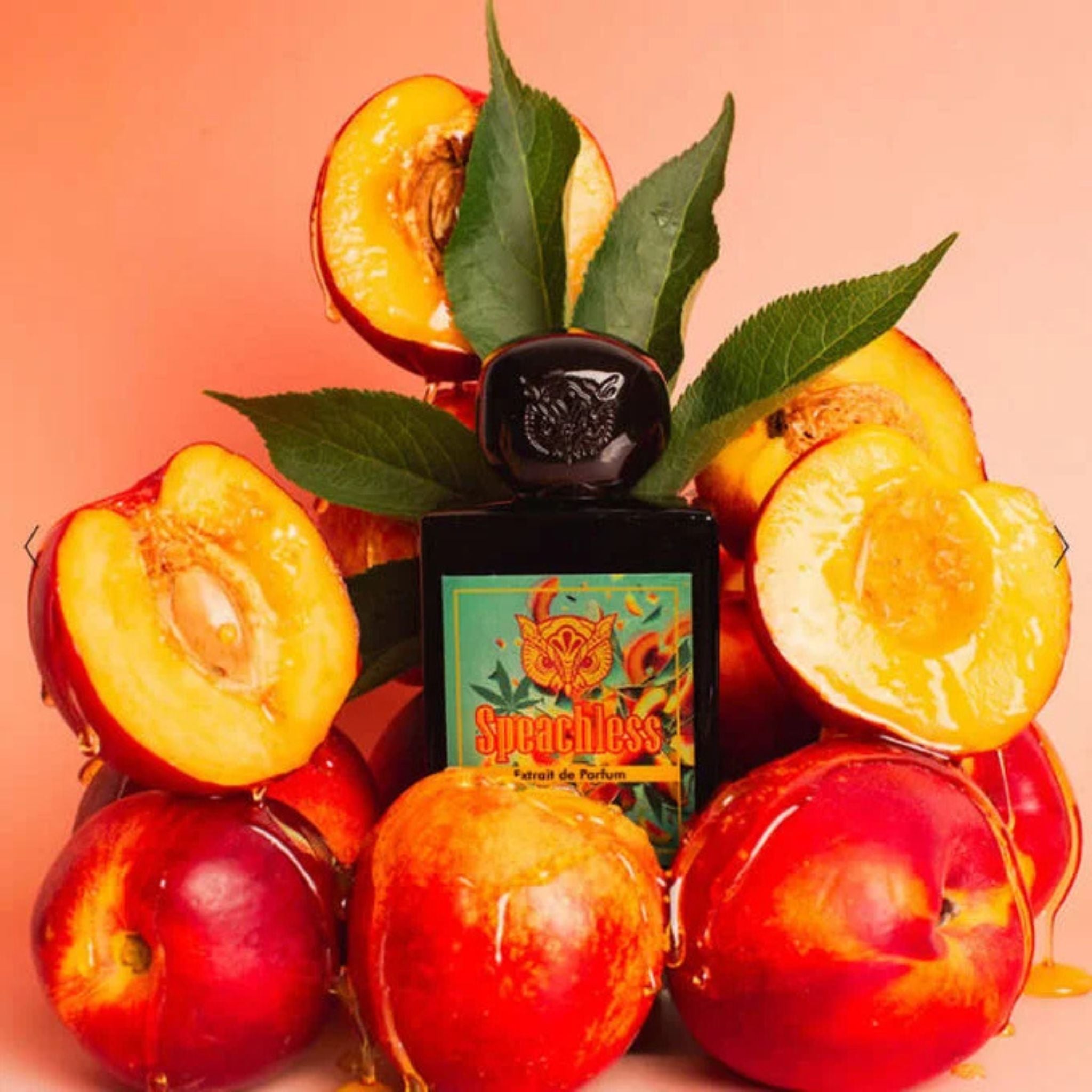 Speachless Lorenzo Pazzaglia Fragrance