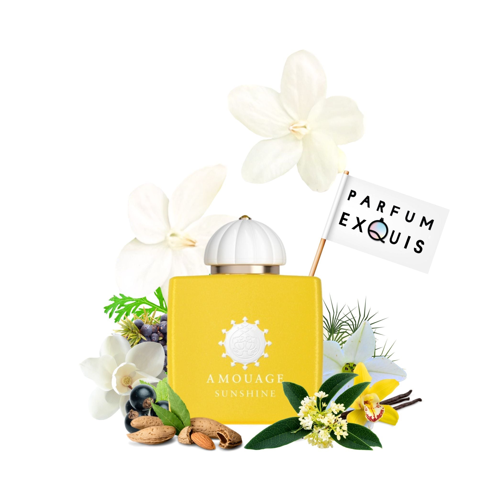 Sunshine · Parfum Exquis US