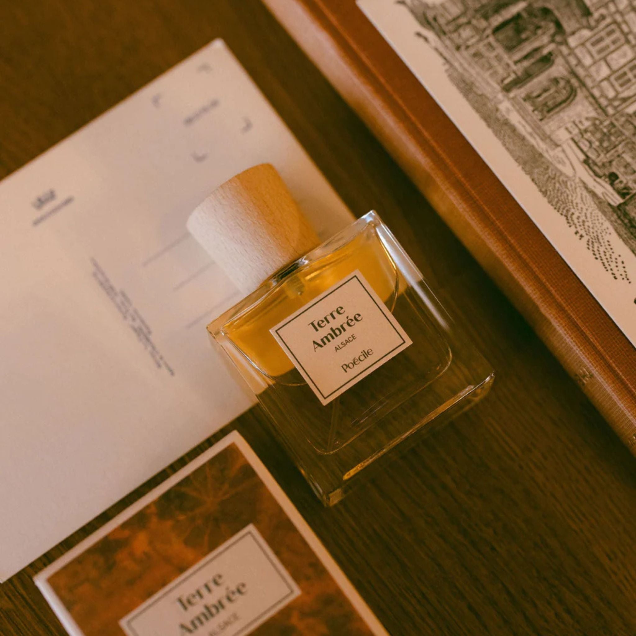 Fragrance Terre Ambree Poecile