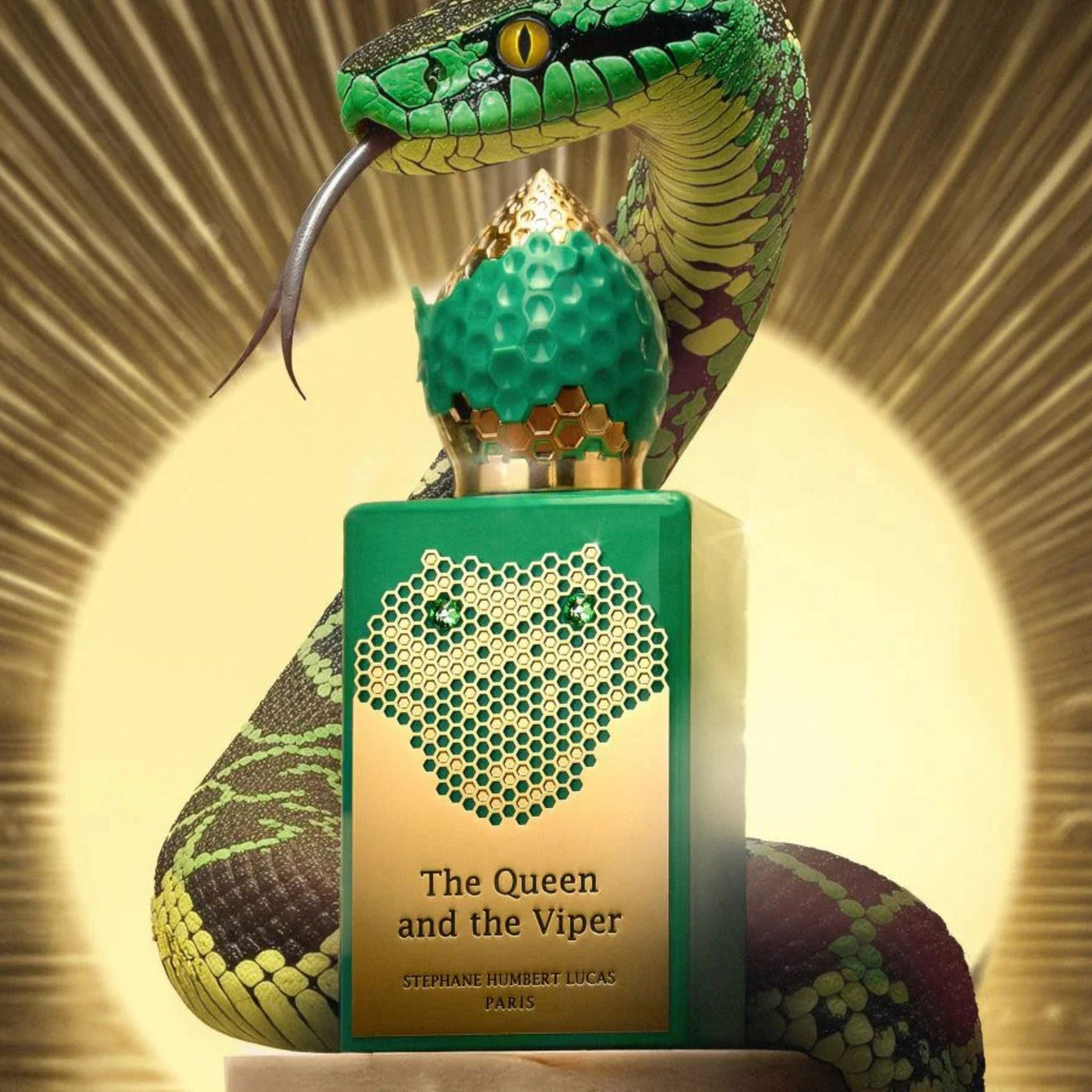 The Queen And The Viper by Stéphane Humbert Lucas