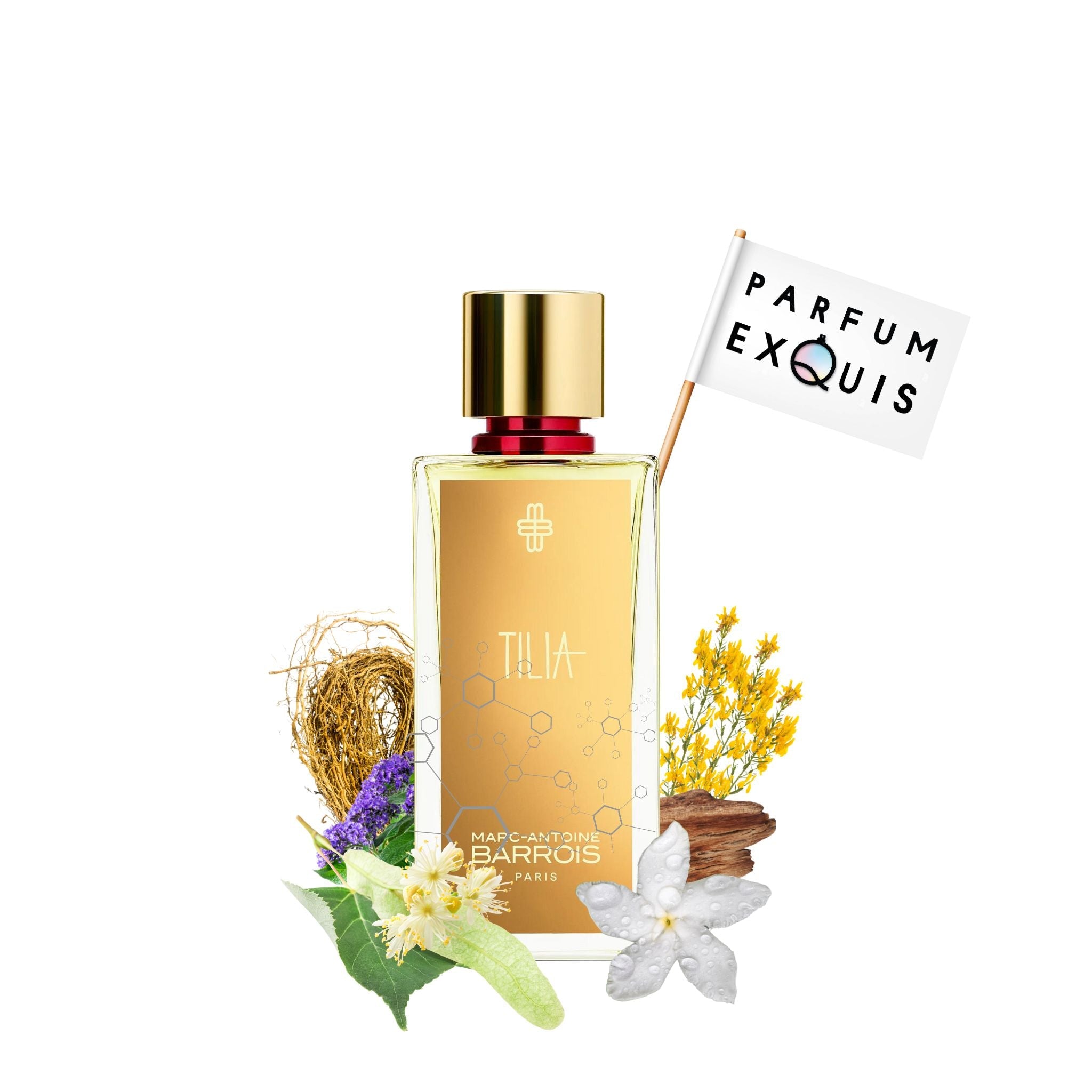 Tilia Marc-Antoine Barrois: Radiant Summer Scent · Parfum