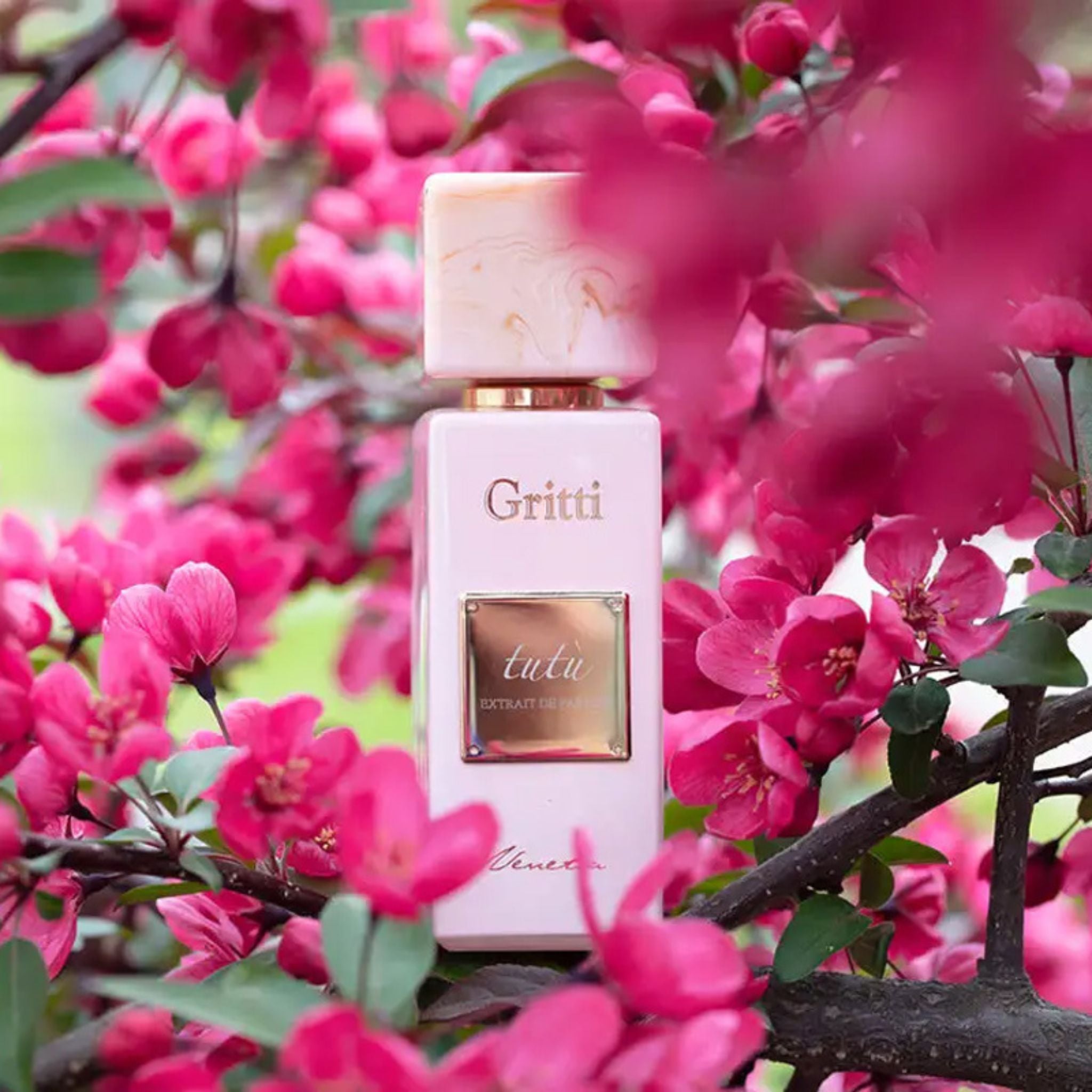 Tutu Rose Gritti