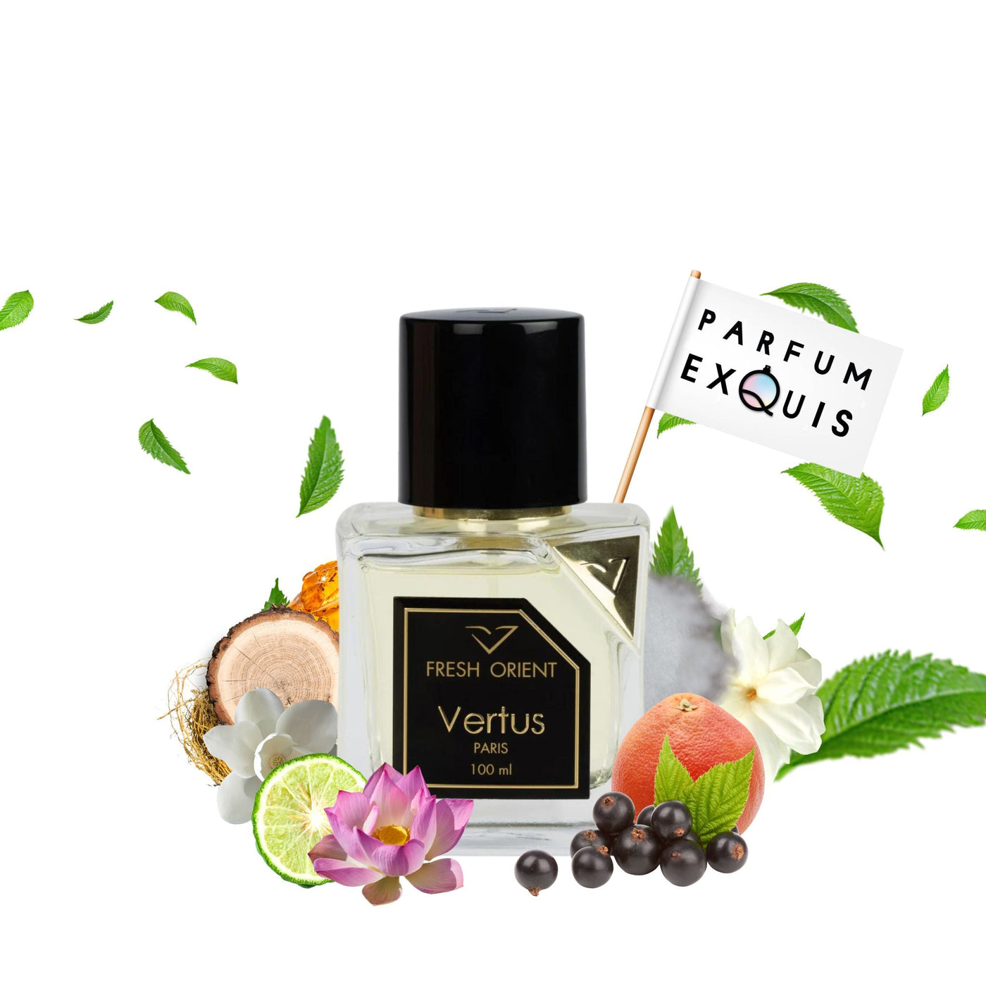 Vertus Fresh Orient