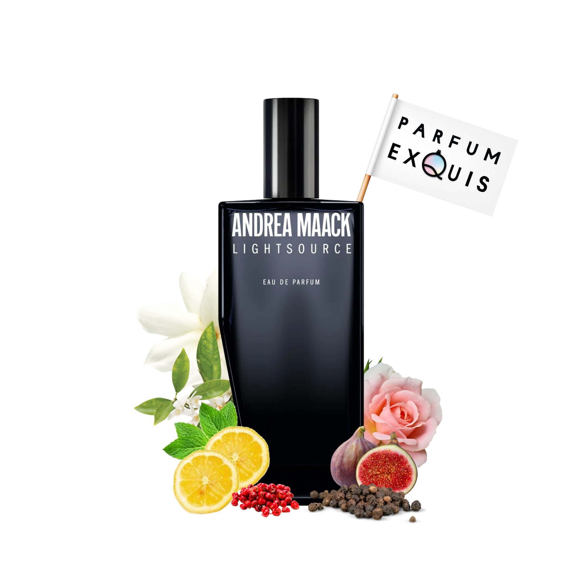 Andrea Maack - Lightsource