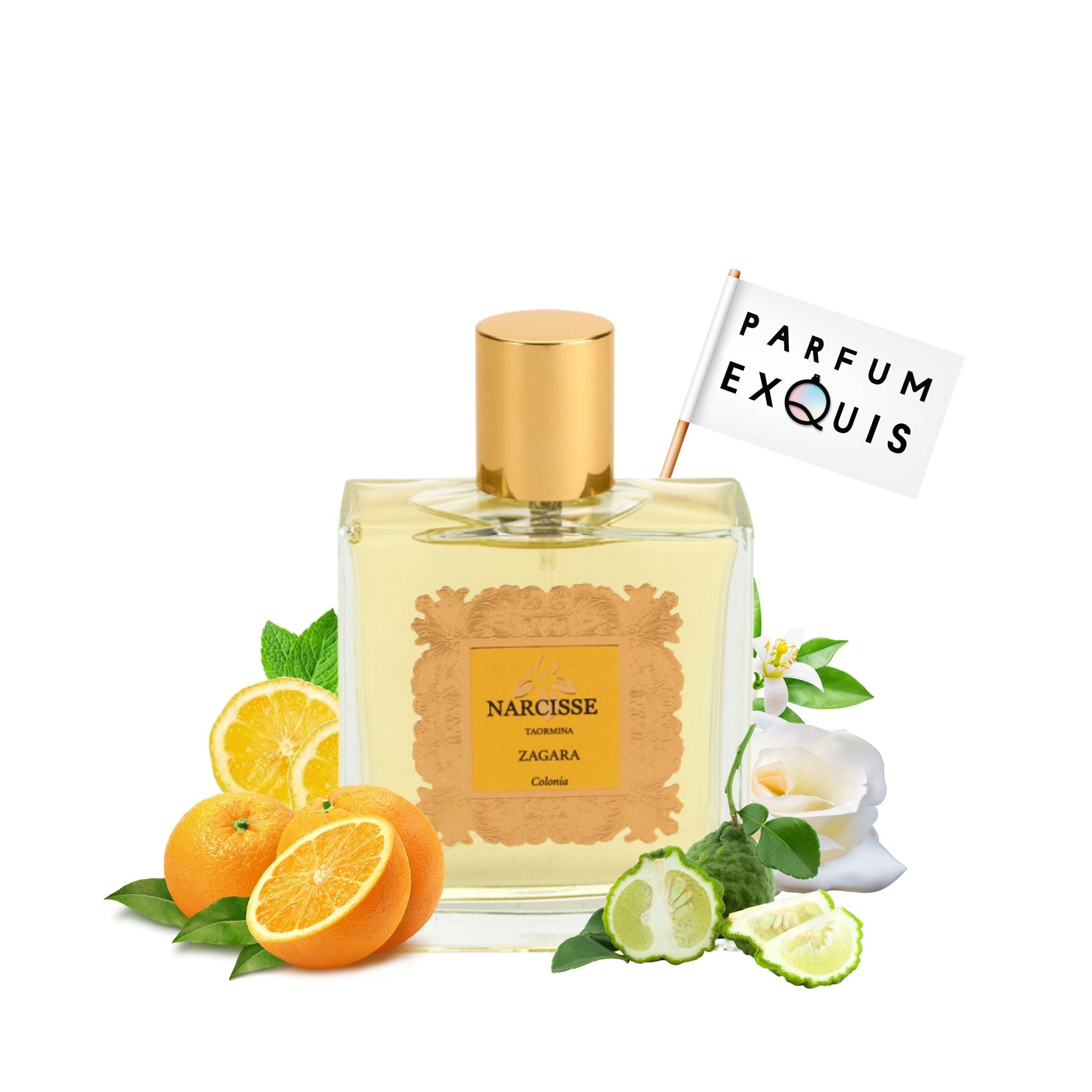 香水(ユニセックス) Acqua di Colonia Zagara 100ml Zagara: Eau de Cologne - Santa Maria Novella